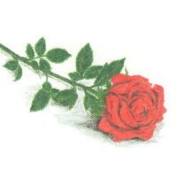 Information